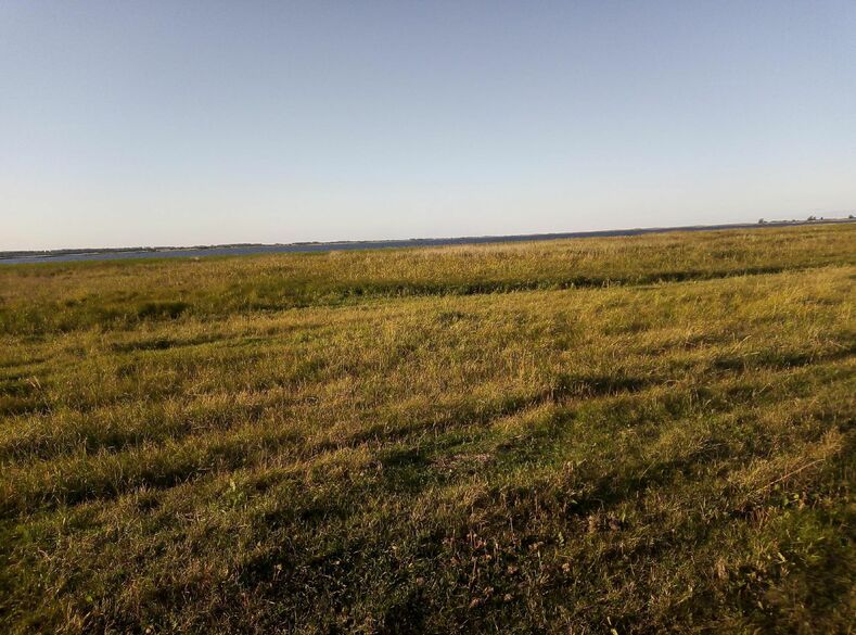 Фотография товара