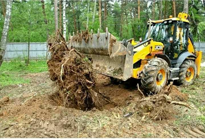 Фотография товара