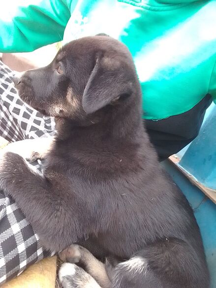 Фотография товара