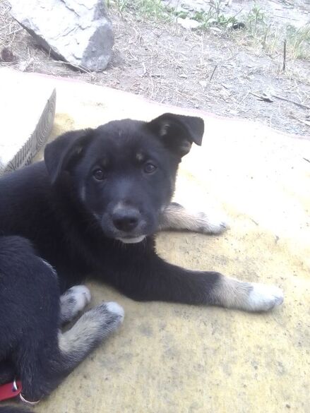 Фотография товара