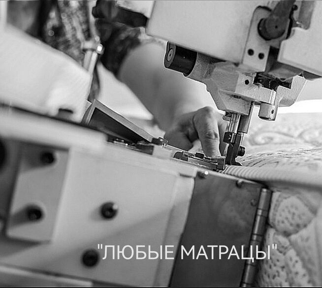 Фотография товара