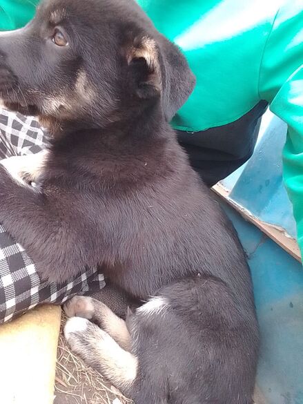 Фотография товара