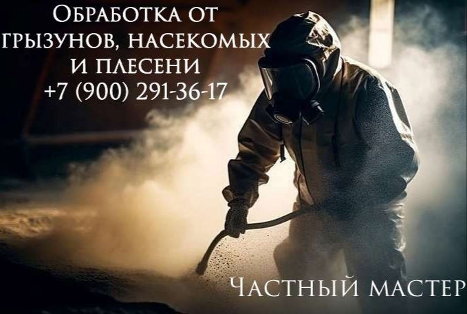 Фотография товара