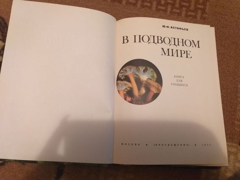 Фотография товара