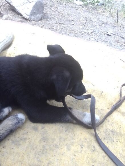 Фотография товара