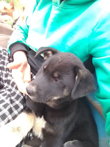 Фотография товара