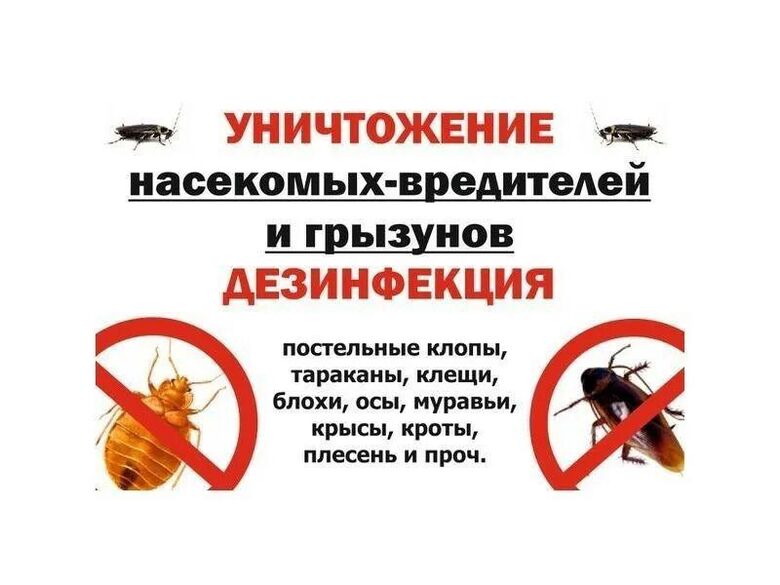 Фотография товара