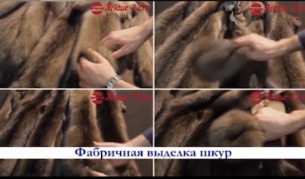 Фотография товара