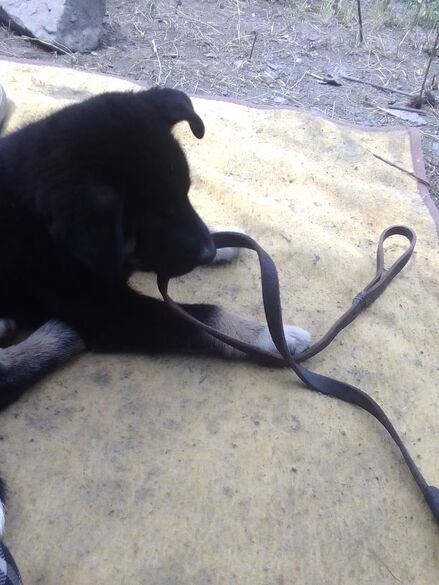 Фотография товара