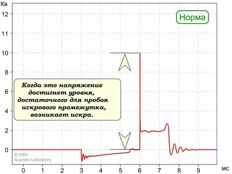 Фотография товара