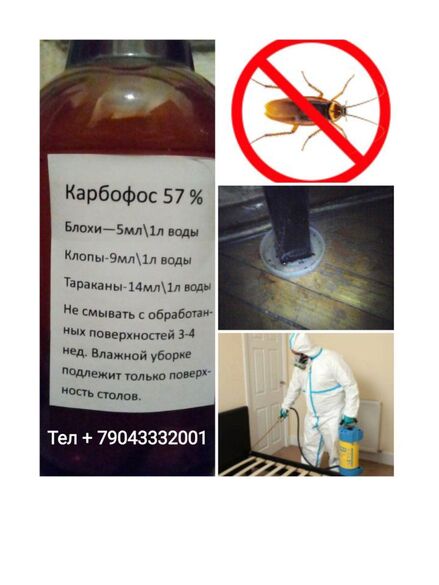 Фотография товара